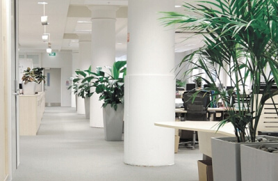 Ausllast Electronics Co.Ltd