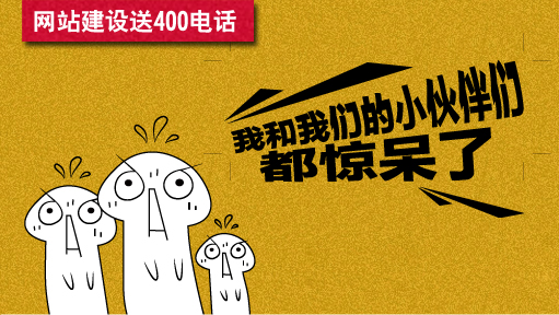 回馈活动：建网站送400电话