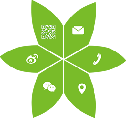 手机网站_3G网站