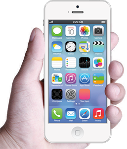 手机网站_3G网站